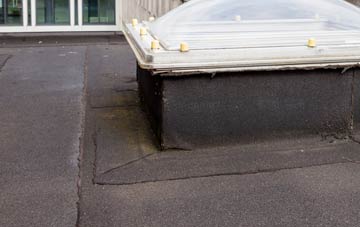 disadvantages of Bagshaw flat roofs
